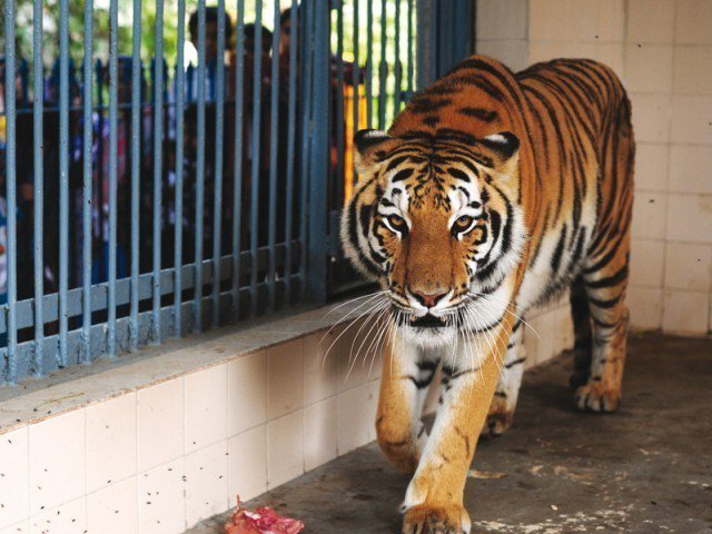 Karachi Zoo