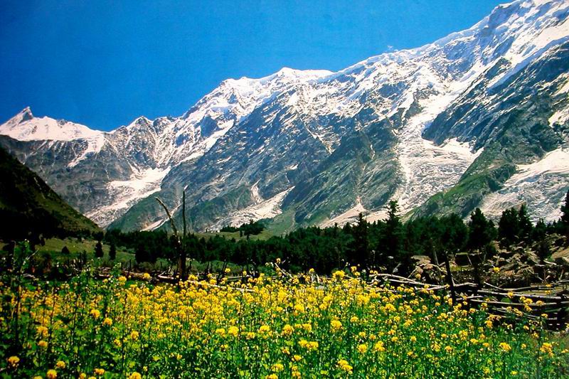 Naltar Valley