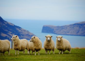 best places to visit in New Zealand