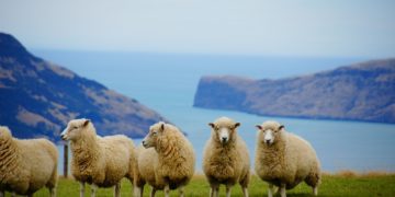 best places to visit in New Zealand