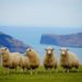 best places to visit in New Zealand