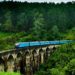 Best Places to Visit in Sri Lanka