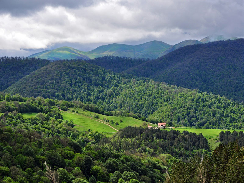 Dilijan