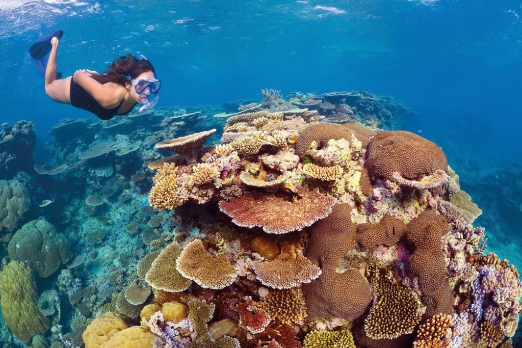 Great Barrier Reef Queensland