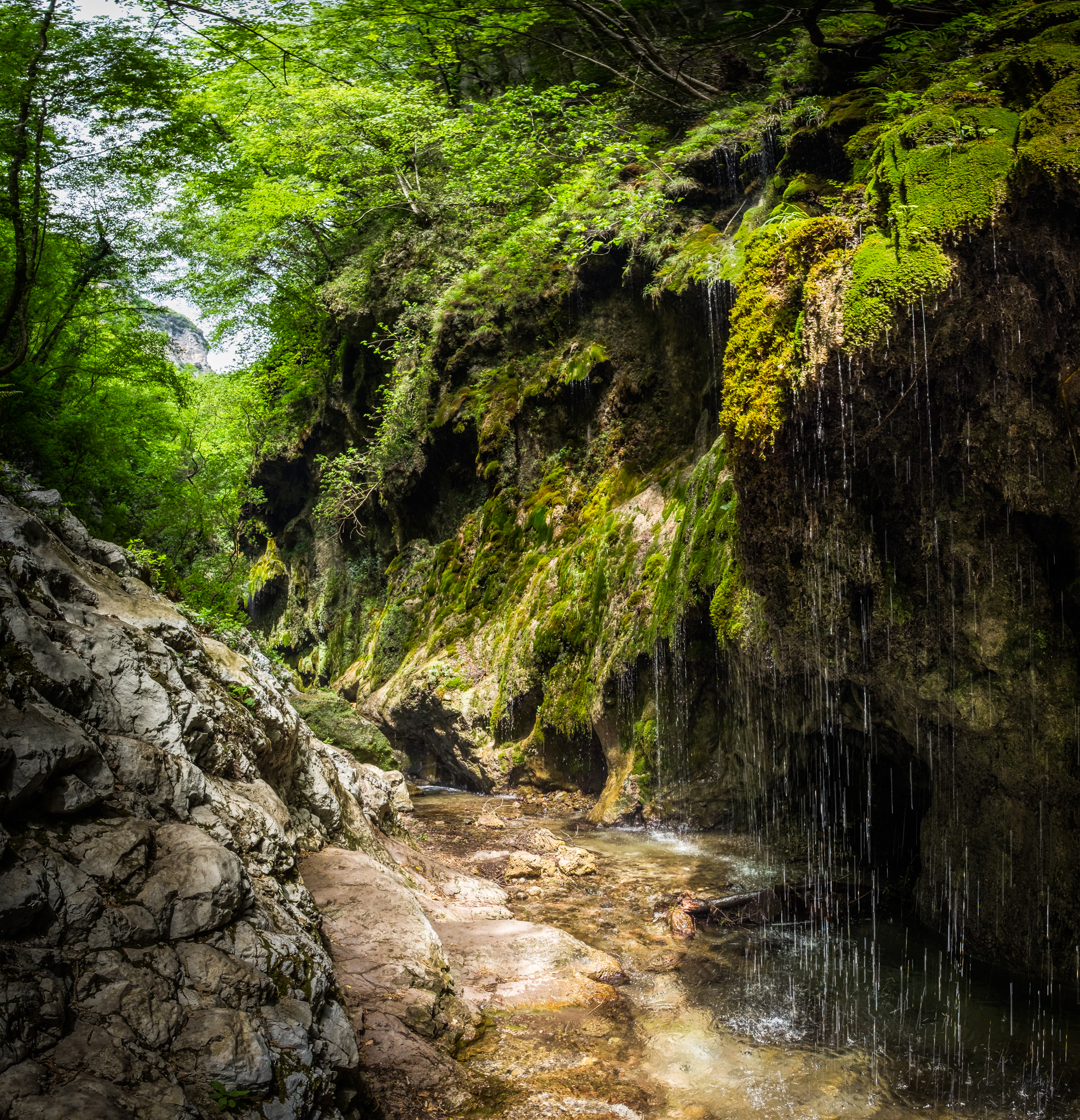 Valle delle Ferriere - Tour Attractions in Amalfi Coast