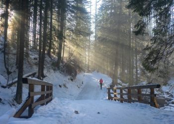 Best Places To Visit in Europe During Winters