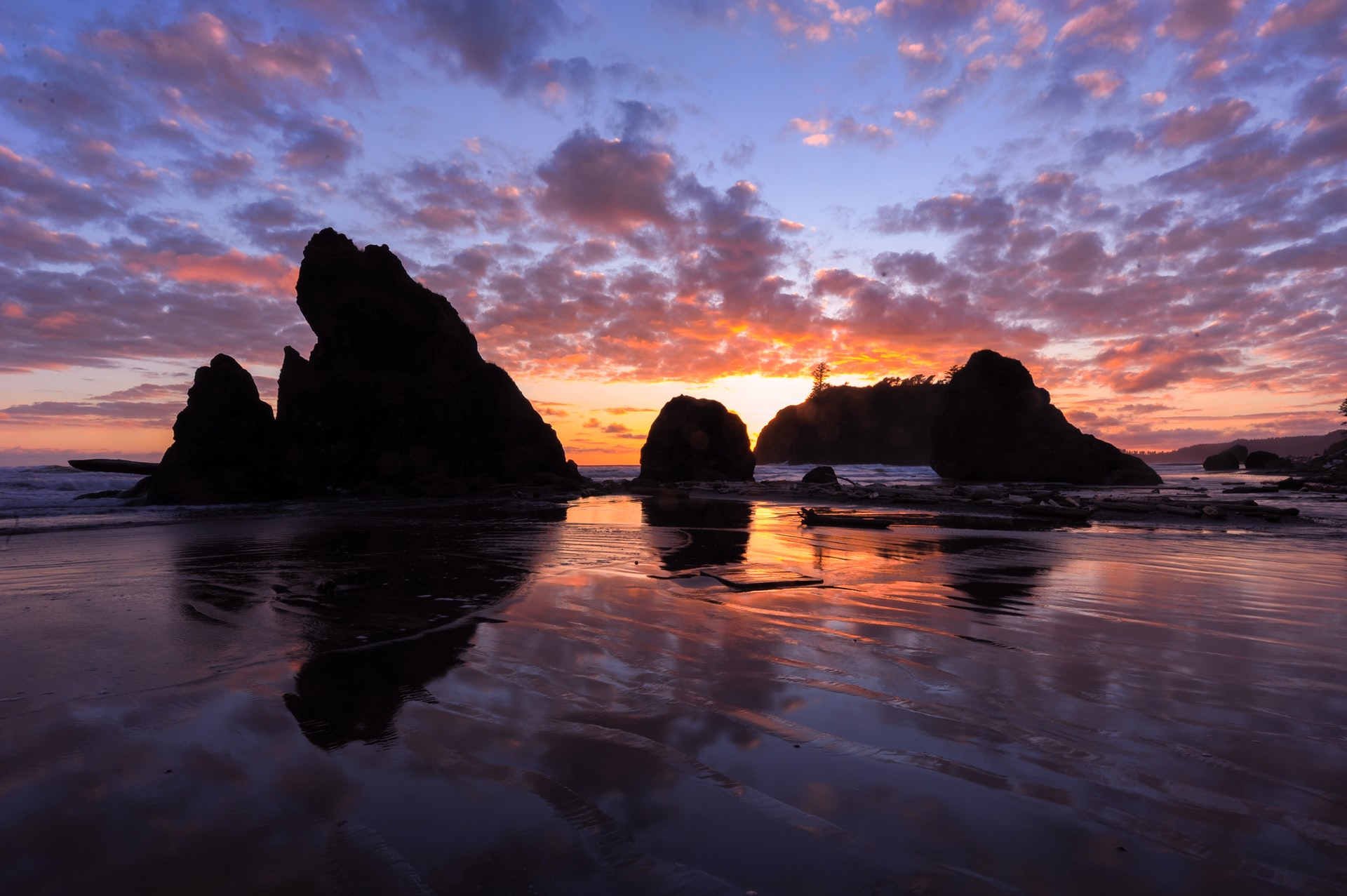 Olympic National Park, Washington