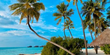 A beautiful sandy beach