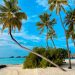 A beautiful sandy beach