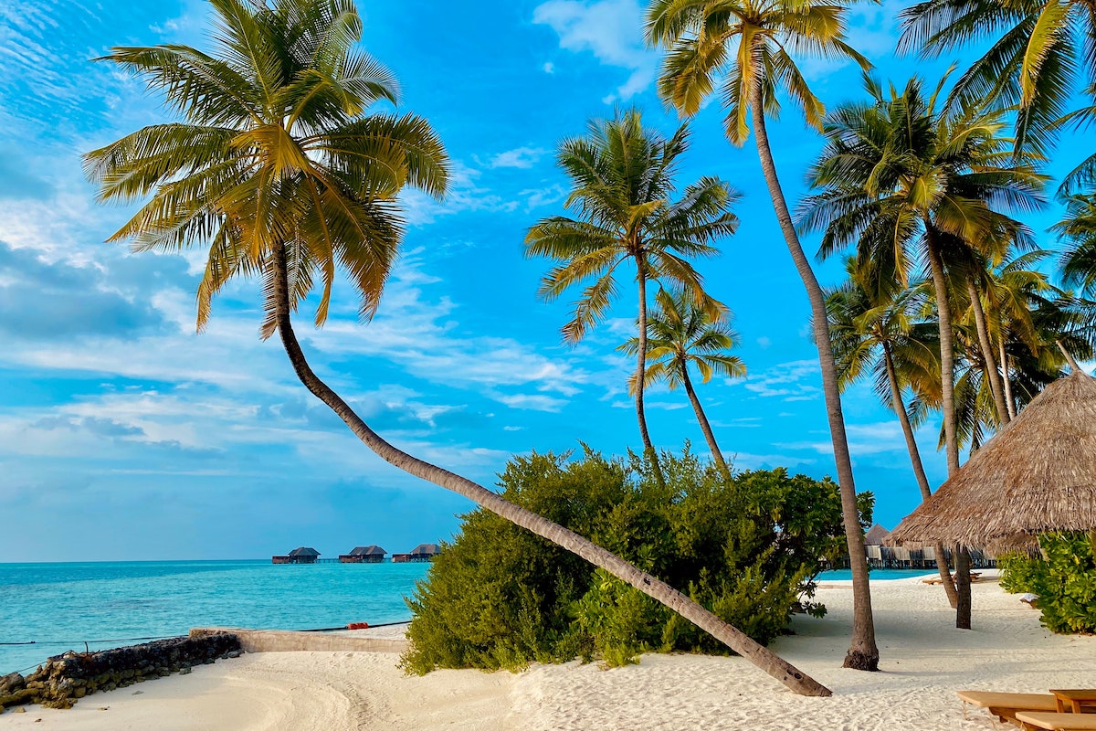 A beautiful sandy beach