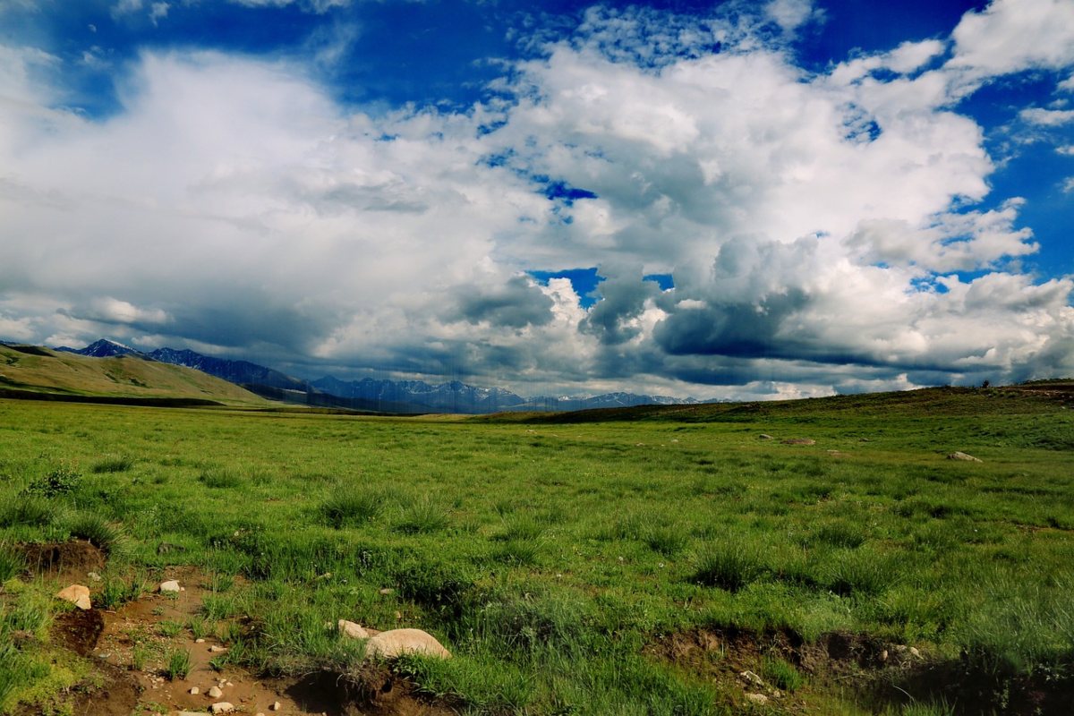 Deosai Plains in Skardu Gilgit Baltistan Pakistan